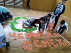 IMG_20190506_120017.jpg